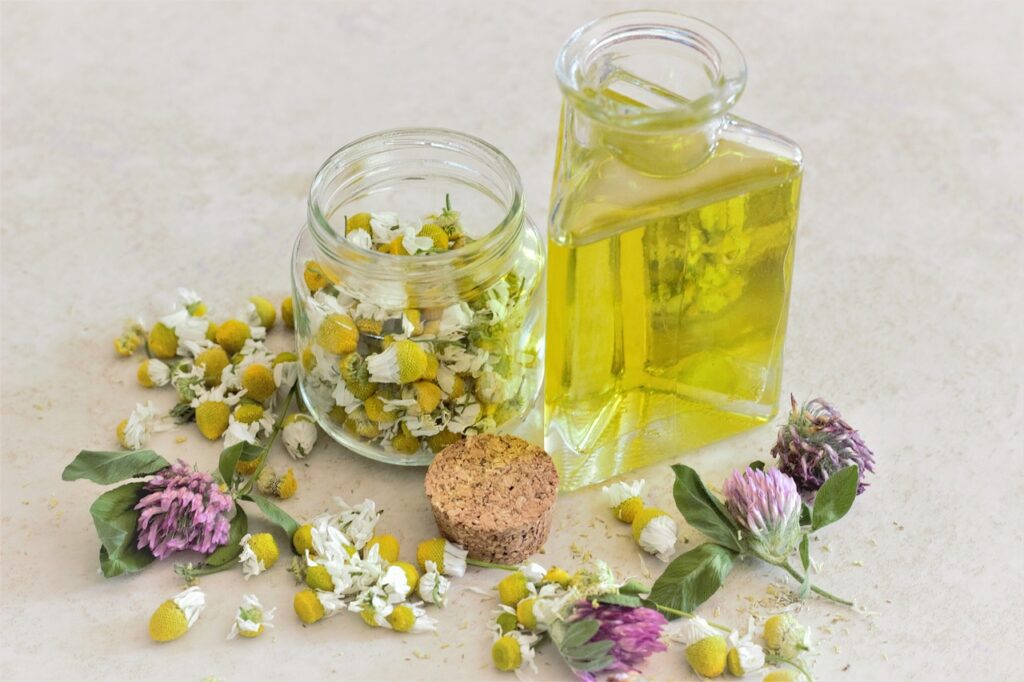 chamomile, flower background, oil-3442807.jpg